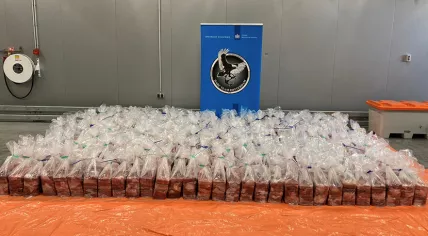 2,100 kilos of cocaine found in port of Rotterdam