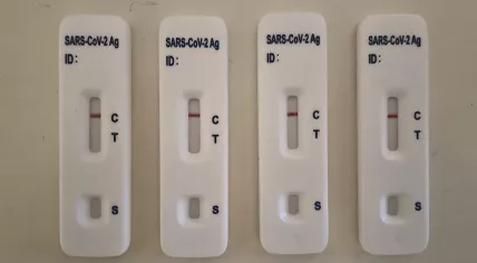 Four negative coronavirus rapid antigen self tests. Aug. 2, 2021