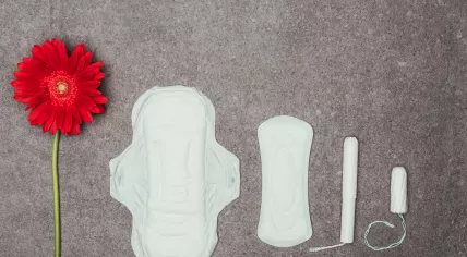 Red flower, menstrual pads, and tampons on a gray background