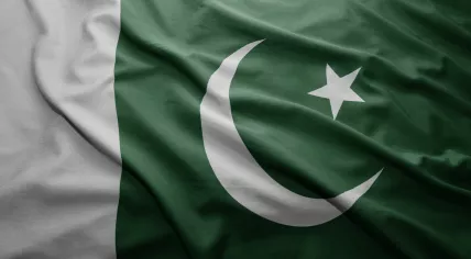 Pakistani flag