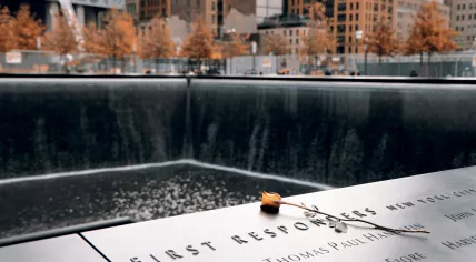 Rose on the 9/11 memorial monument