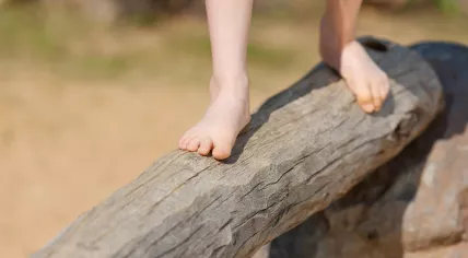 Child standing on a tree trunk