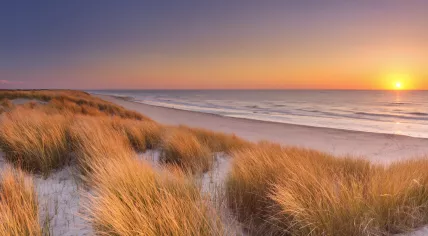 Texel Island - dunes, beach and Wadden Sea at sunset