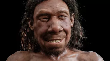 First Dutch Neanderthal gets facial reconstruction