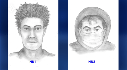 Composition sketch of men wanted for invading and robbing PSV footballer Eran Zahavi's home, 9 May 2021