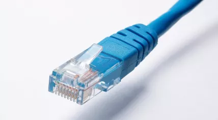 A blue ethernet cable