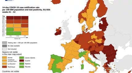 The entire Netherlands was at the Red coronavirus risk level on the European Union’s map, released 28 October 2021