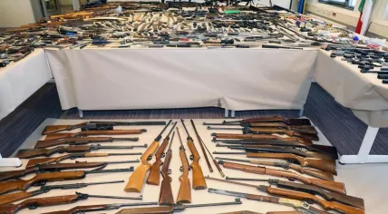 A selection of weapons turned into police as part of a 2021 amnesty campaign. October 2021