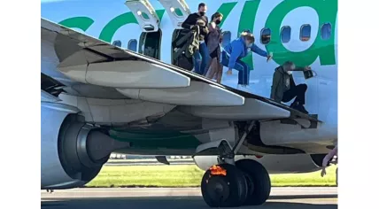 Passengers jump off the wing of a Transavia jet at Schiphol with a fire burning near the landing gear. 28 October 2021