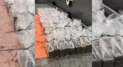 78 million euros worth of cocaine found in Port of Rotterdam on October 2, 2021