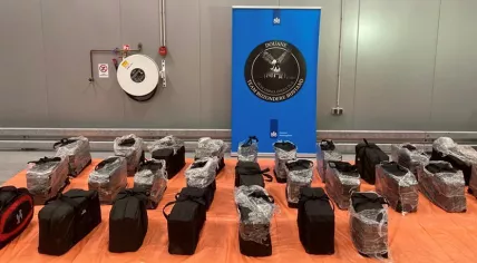 712 kilos of cocaine found in a container from Guatemala at the port of Rotterdam, 13 October 2021