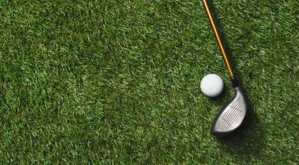 Golf club and ball on grass