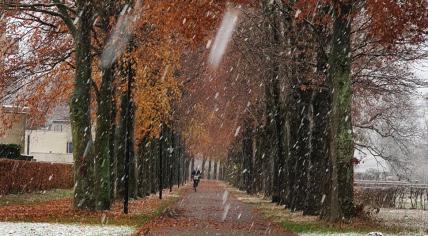 First snowfall of winter 2022 in Deventer