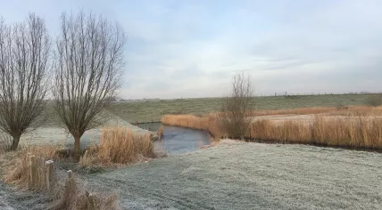 An icy field in Schagen, Noord-Holland, 22 December 2021