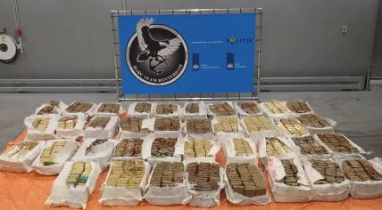 Bundles of cocaine, 1,515 kilograms in total, found in a shipment of cocoa beans. December 22, 2021