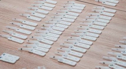 Rows of coronavirus rapid tests and samples. January 2022