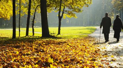 Older couple walking in the park