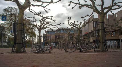 Bicycle parking in front of the one of Leiden University buildings