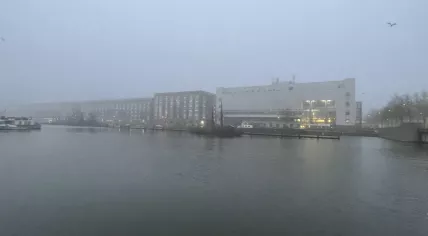 A foggy morning in Amsterdam Oost, 13 January 2022