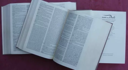 A copy of the Van Dale Dutch language dictionary