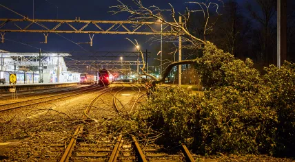 A tree knocked over on the railroad during Storm Eunice. 19 Feb. 2022
