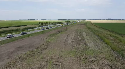 Field along the N307 in Dronten