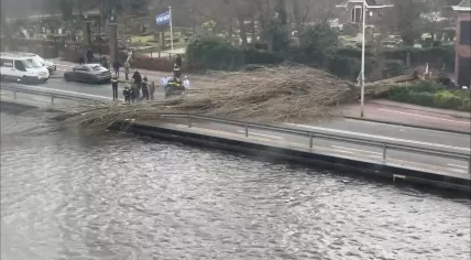 A tree toppled over on in Diemen during Storm Eunice, killing one person. 18 Feb. 2022