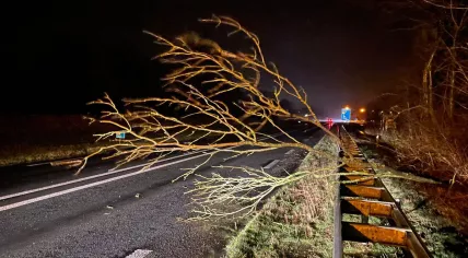 Tree lying on the road after storm Franklin, 21 February 2022