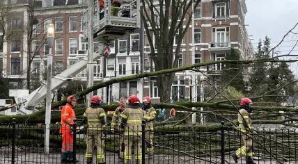 Storm Corrie uprooted a tree in the garden of the Tropenmuseum in Amsterdam-Oost. 31 January 2022