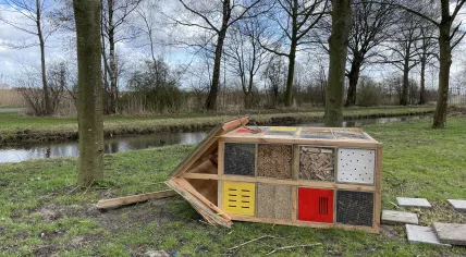 An insect habitat in Amsterdam-Noord overturned after Storm Eunice.