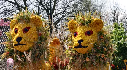 Two lions made entirely from flowers at the Bollenstreek Flower Parade