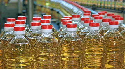Sunflower oil