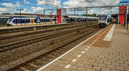 Trains at Weesp station