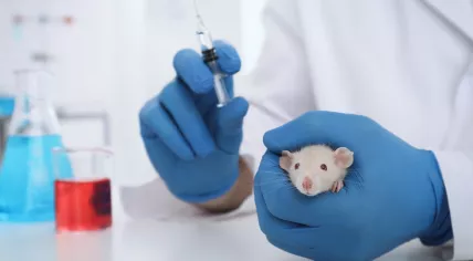 Animal testing