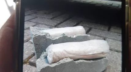 Bricks concealing heroin found on the Tappersheul commercial property in Oudewater. 24 May 2022