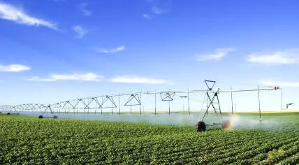 Irrigation