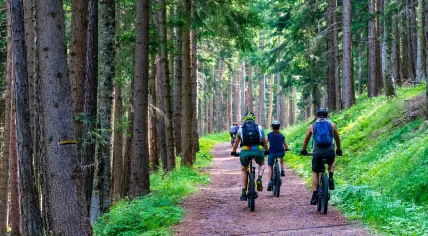 Cycling through the forrest