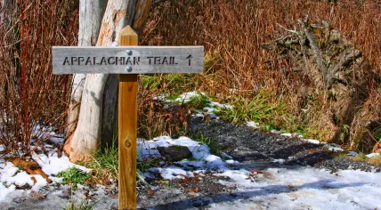 Trail sign on the  Appalachian Trial in Virginia, United States
