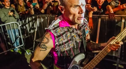 Flea performs during the Red Hot Chili Peppers concert at Pinkpop in 2016