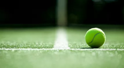 Tennis ball on grass court