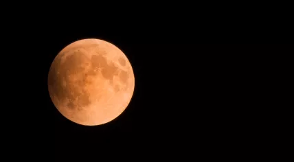 Blood orange moon.