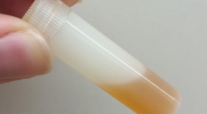 Life-threatening liquid MDMA, June 2022