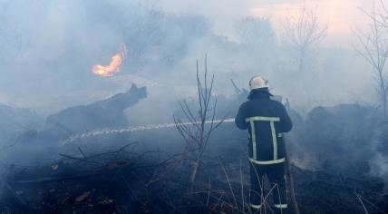 Firefighter spraying water onto a wildfire