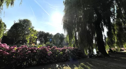 Hot day in Amsterdam Centrum, 17 July 2022
