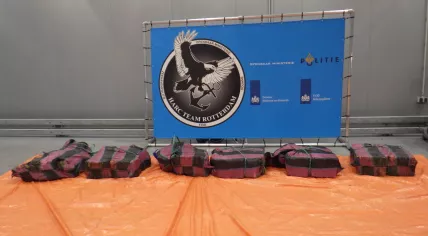 300 kilograms of cocaine intercepted in a container of fishmeal from Chile at the port of Rotterdam, 11 August 2022