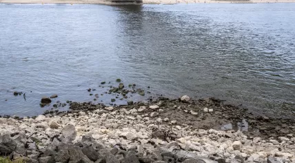 Low water level in the Waal river in Nijmegen, 16 August 2022