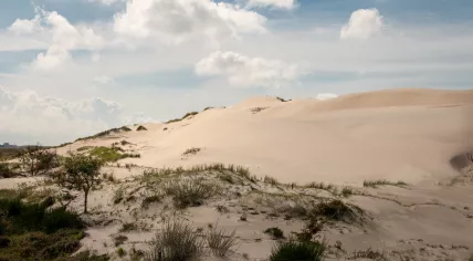 Schoorl dunes in Noord-Holland
