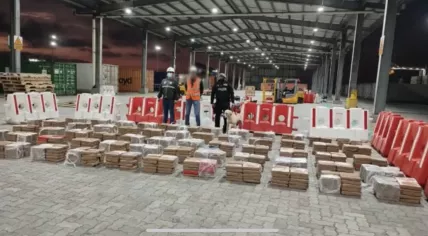 Eighty-seven boxes of cocaine on the way to Rotterdam are intercepted by the Ecuadoran police.