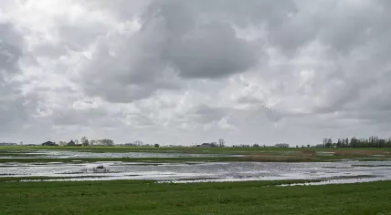 Klaarkampstermeer near Rinsumageast in April 2014