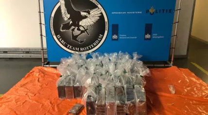 866 kilos of cocaine found at the port of Rotterdam in two containers of peanuts from Argentina, 29 August 2022